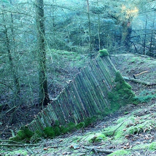 как сделать домик убежище в лесу, сделать убежище в диком лесу, сделать ночлег в диком лесу, сделать домик в диком лесу, сделать домик своими руками в лесу