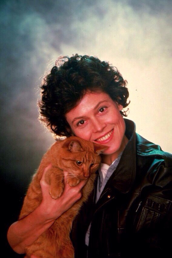 Исторические кадры, редкие архивные фотографии, исторические события, редкие фото звёзд