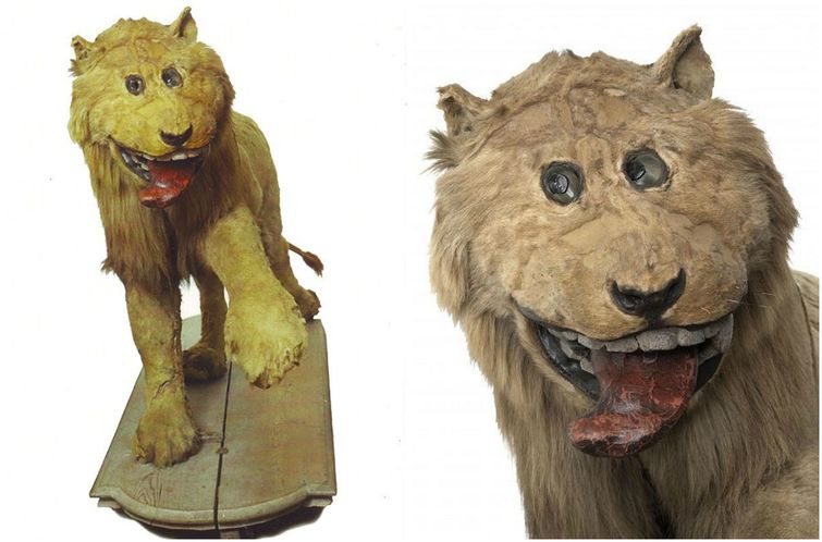 Исторические кадры, редкие архивные фотографии, исторические события, редкие фото звёзд