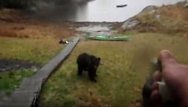 не ешь мой каяк, медведь стал есть каяк, медведь напал на каяк, девушка брызнула медведю перцовый баллончик