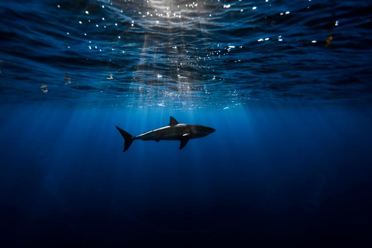 лучшие фото Flickr, самые фото Flickr 2015, самые красивые фото Flickr 2015