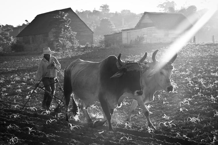 лучшие фото Flickr, самые фото Flickr 2015, самые красивые фото Flickr 2015