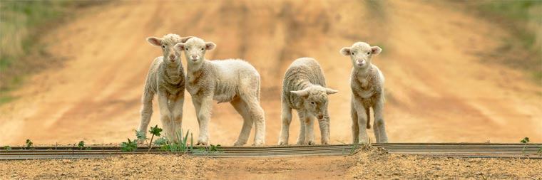 лучшие фото Flickr, самые фото Flickr 2015, самые красивые фото Flickr 2015