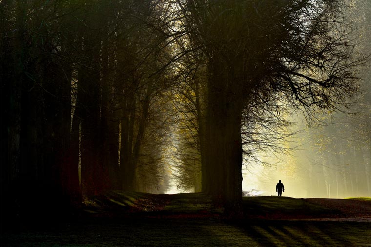 лучшие фото Flickr, самые фото Flickr 2015, самые красивые фото Flickr 2015