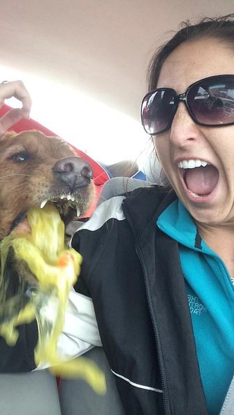 необычные моменты животные, факты о животных, удивительные факты о животных