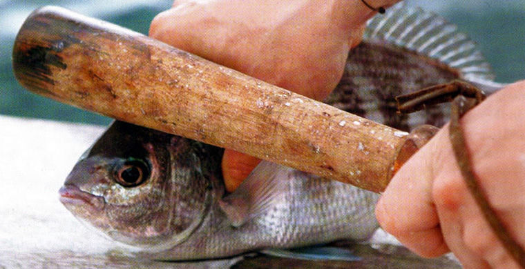 9 привычек жителей Германии, которые кажутся нам странными или что немцу хорошо, то русскому не понять привычки немцев, Что немцу хорошо русскому смерть