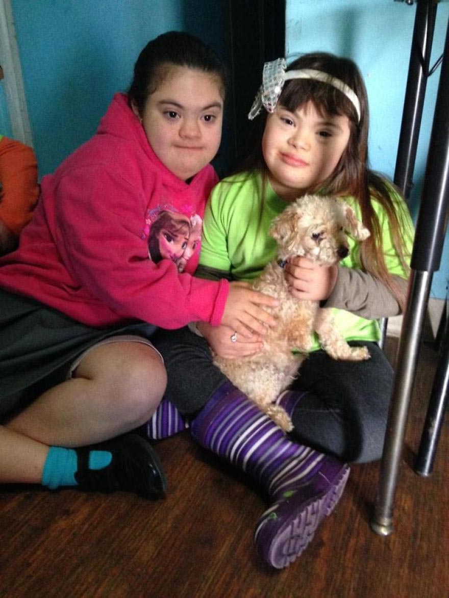 Amaze-Bobb dog, пудель Бобб, преображение собаки