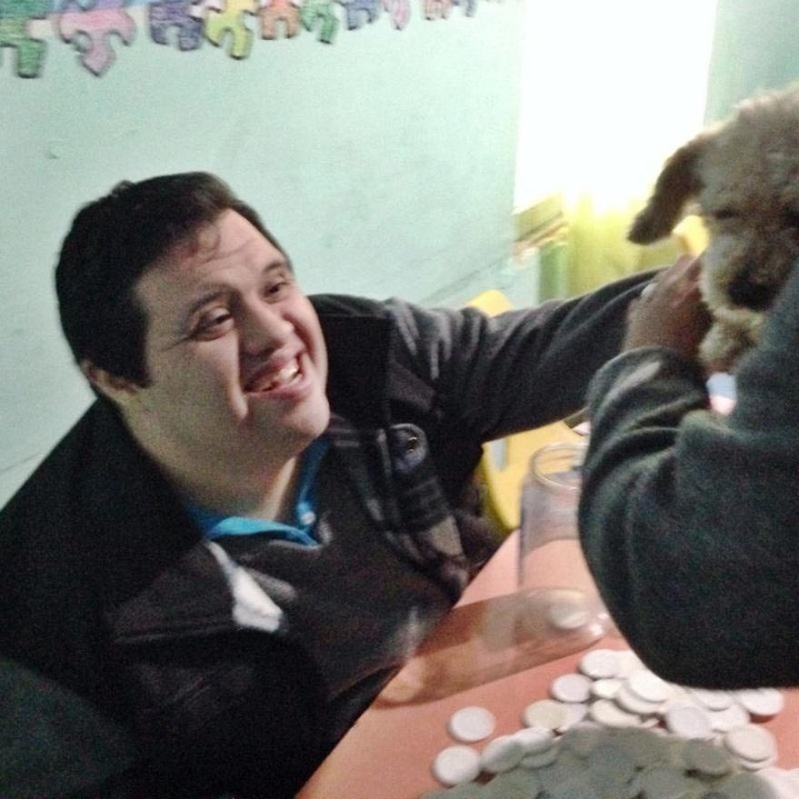 Amaze-Bobb dog, пудель Бобб, преображение собаки