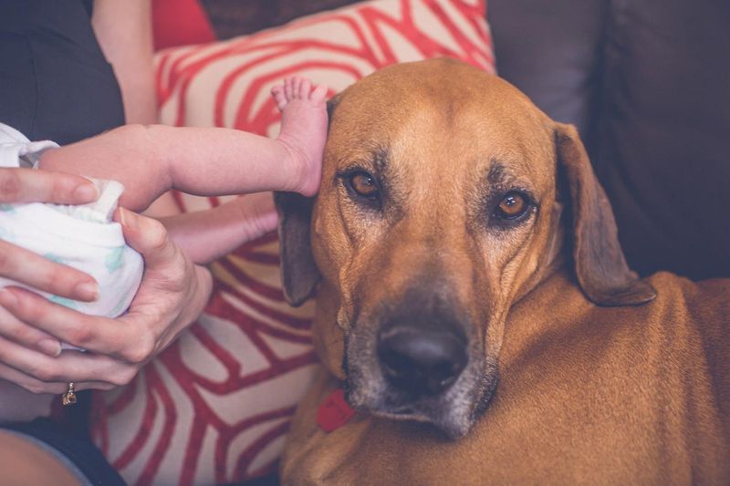 портреты кормящих матерей, фотографии кормящих матерей, Мелисса Джин Уилбрахам, Melissa Jean Wilbraham