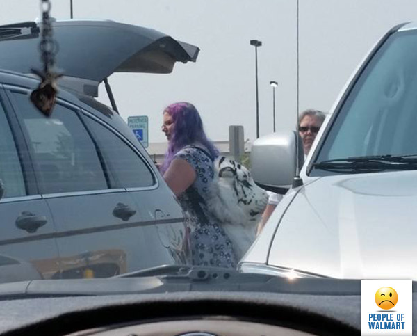 people of walmart, странные американцы, наряды посетителей американских супермаркетов