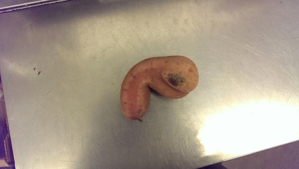 смешные вещи похожие на, вещи похожие, обычные вещи похожие на