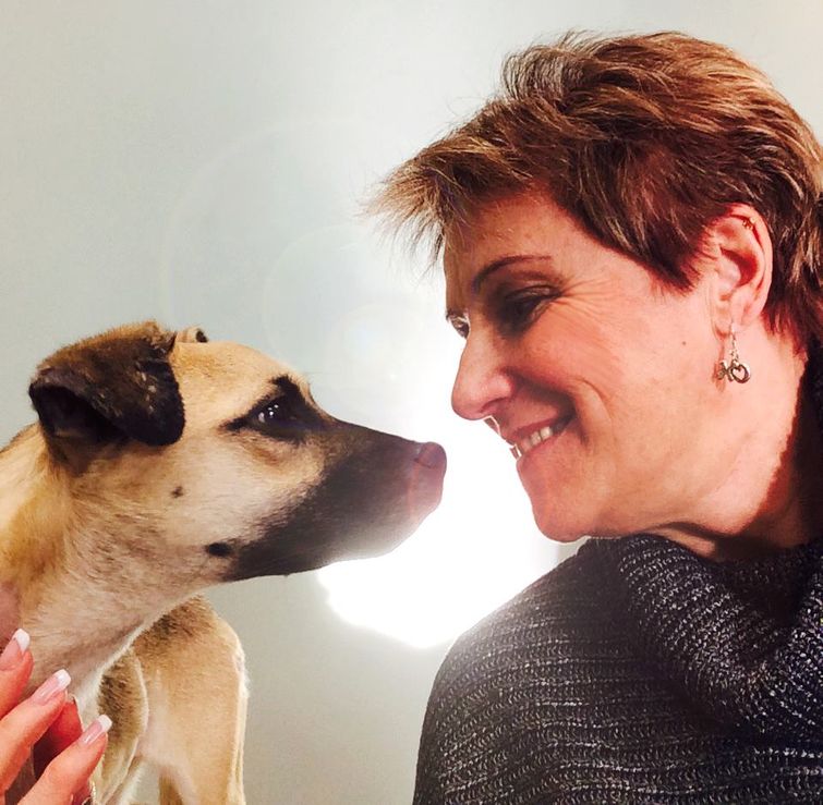 История спасения истощённой собаки, невероятное преображение истощённой собаки, dog angel