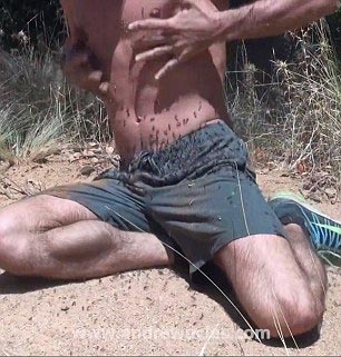 Эндрю Юклс, Andrew Ucles, Эндрю Юклс на муравейнике, Эндрю Юклс ловит животных руками