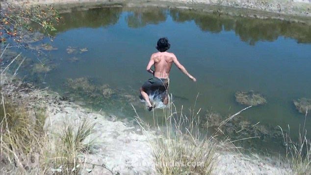 Эндрю Юклс, Andrew Ucles, Эндрю Юклс на муравейнике, Эндрю Юклс ловит животных руками