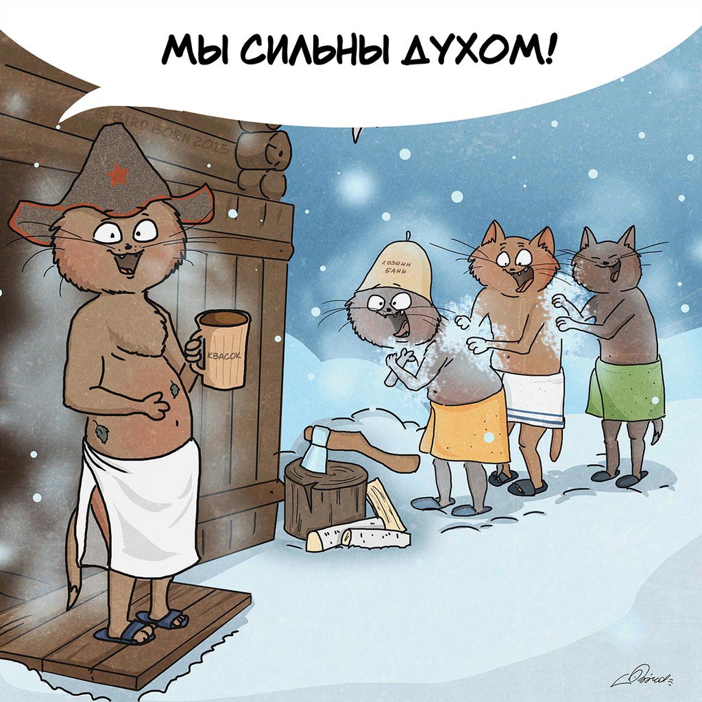 Загадочная русская душа, коты патриоты, Bird Born