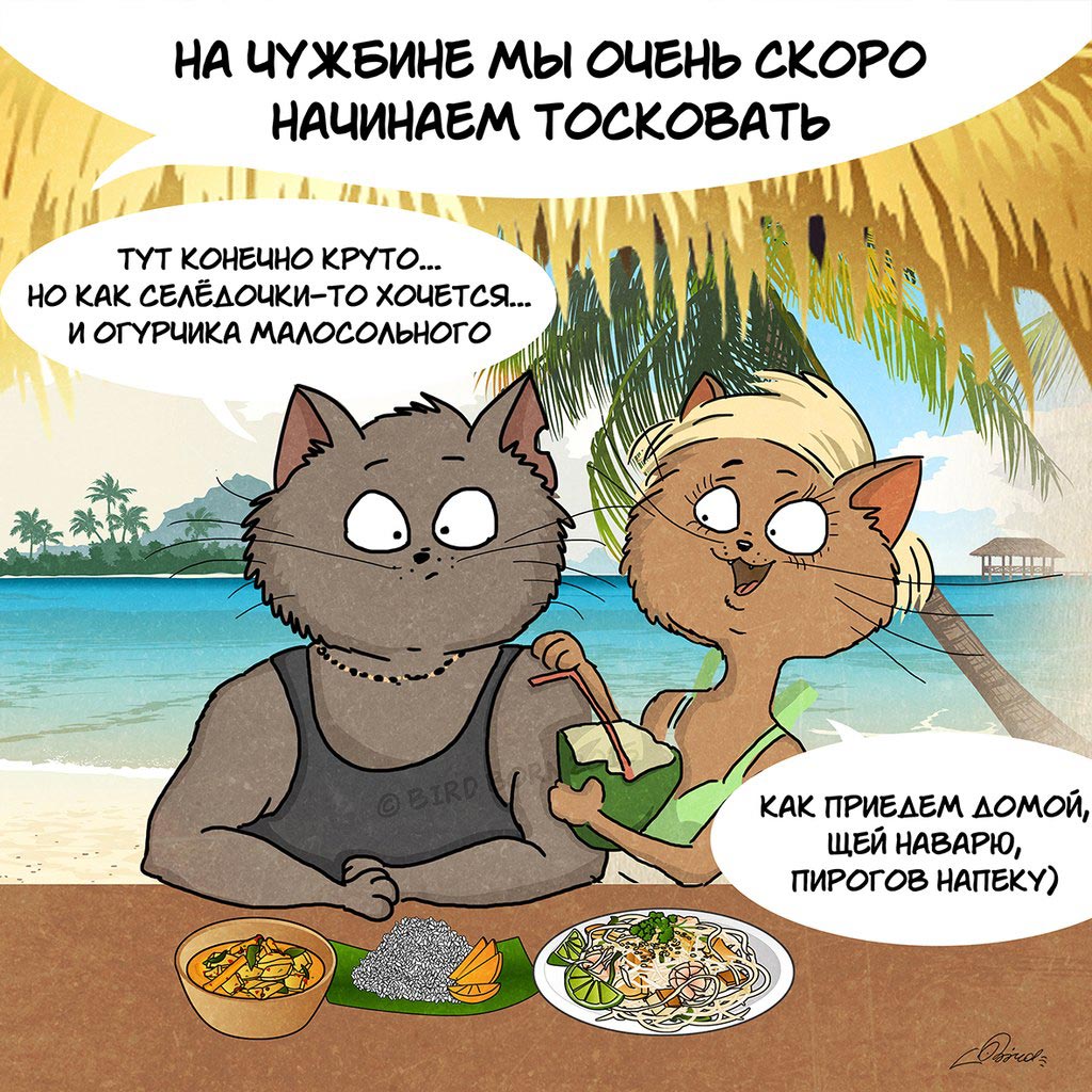 Загадочная русская душа, коты патриоты, Bird Born