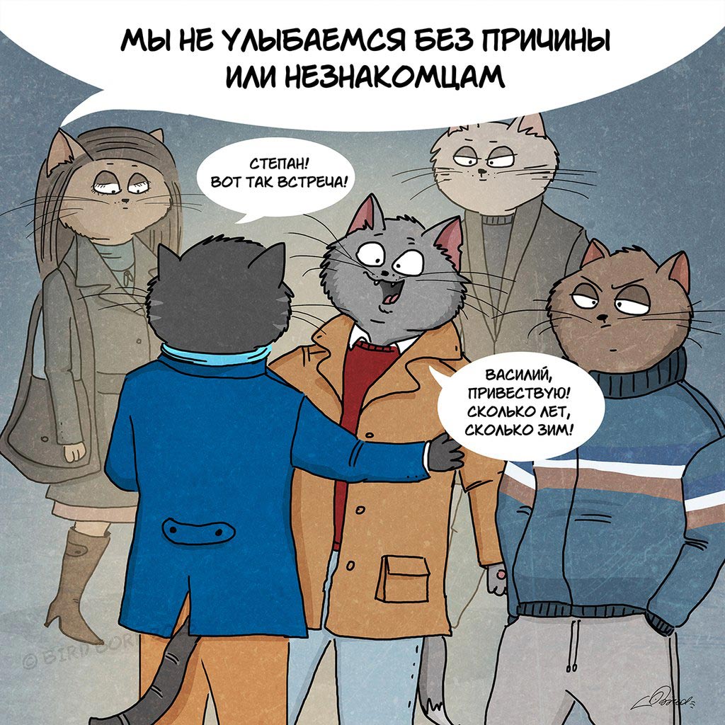 Загадочная русская душа, коты патриоты, Bird Born