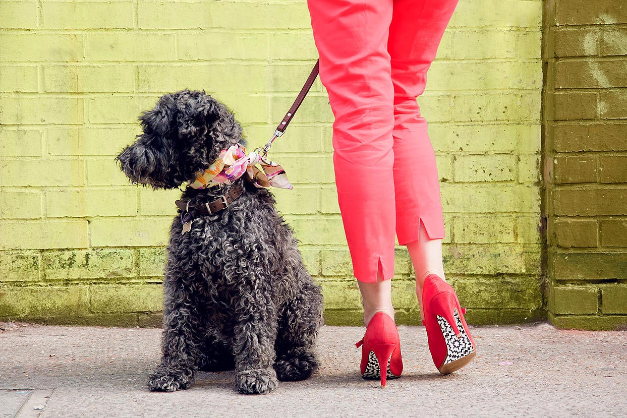 ShoeLicks, прокачай мои каблуки, Шарлотта Кинг, Charlotte King, наклейки на туфли, наклейки на подошву туфли