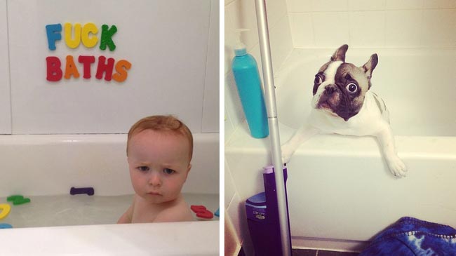 дети и собаки похожи, доказательства того что дети и собаки похожи