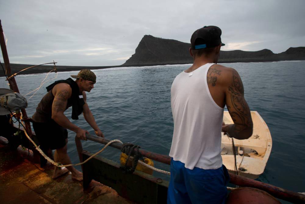 новейший остров Земли, новый остров на Земле, на Земле появился новый остров