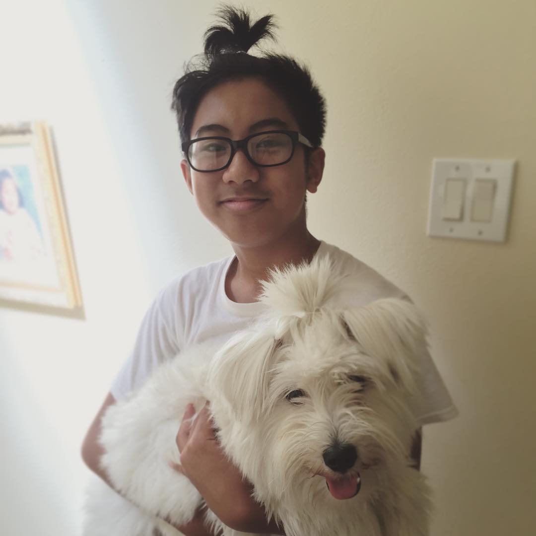 Собаки с гульками,  #DogBun