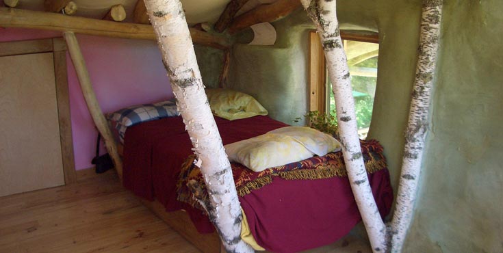 деревья были раньше, деревья в зданиях, деревья в дизайне зданий