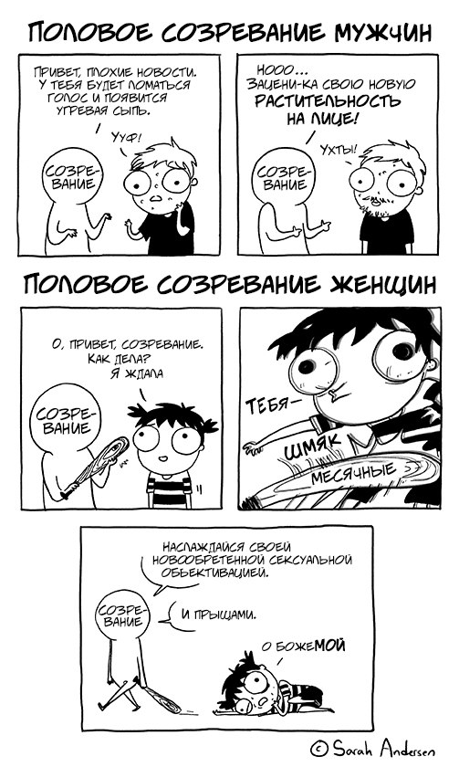 сара андерсон, комиксы о девочках