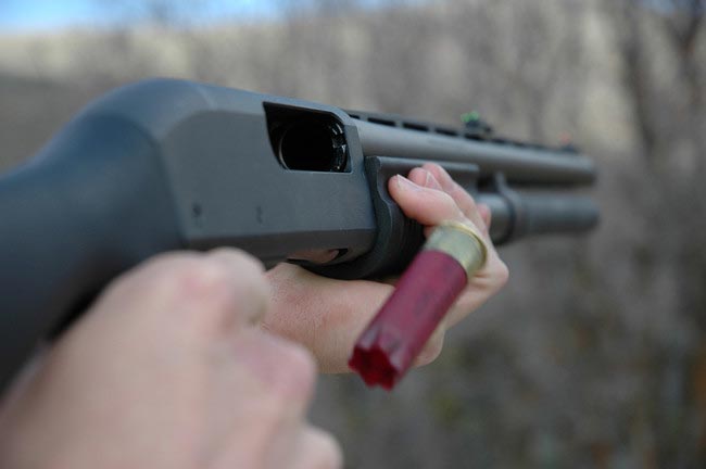 14 необычных вещей, которые помогут вам сохранить память о покинувшем вас питомце способы сохранения памяти о животном, как сохранить память о умершем животном, память об умершем питомце