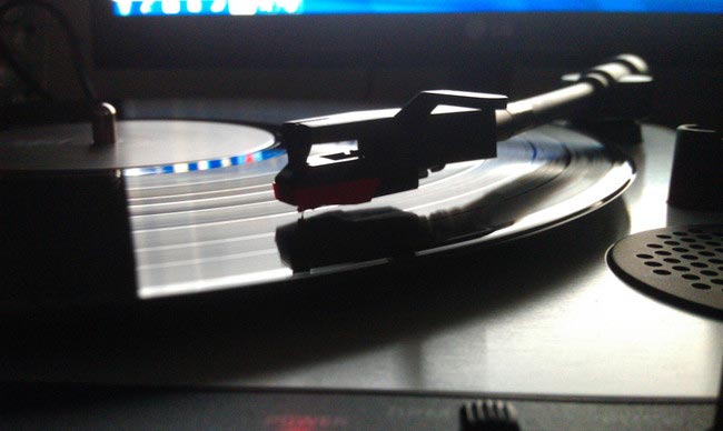 14 необычных вещей, которые помогут вам сохранить память о покинувшем вас питомце способы сохранения памяти о животном, как сохранить память о умершем животном, память об умершем питомце