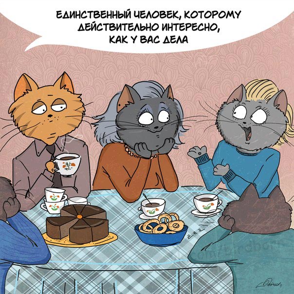 мамы, маме к 8 марта, Bird Born