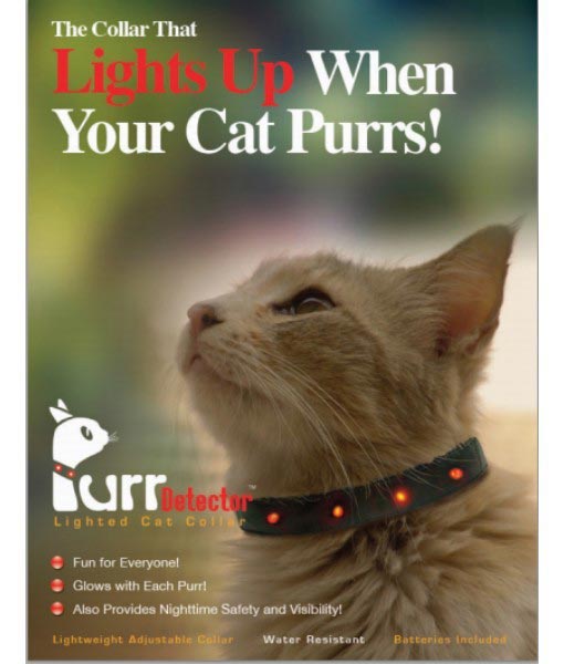 странные продукты для собак, абсурдные изобретения для животных, нелепые вещи для домашних животных