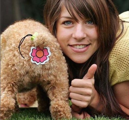 странные продукты для собак, абсурдные изобретения для животных, нелепые вещи для домашних животных