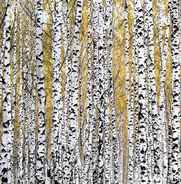 Редкие кадры исторических событий, а также архивные снимки великих и знаменитых. Часть 29 Исторические кадры, редкие архивные фотографии, исторические события, редкие фото звёзд