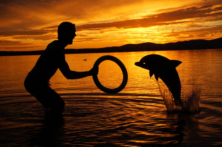 Картонные истории, Когда картон оживает,Джон Маршал,John Marshall, вырезает сценки из картона, силуэты закат картон