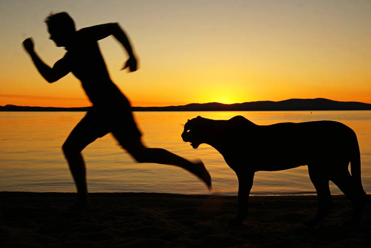 Картонные истории, Когда картон оживает,Джон Маршал,John Marshall, вырезает сценки из картона, силуэты закат картон