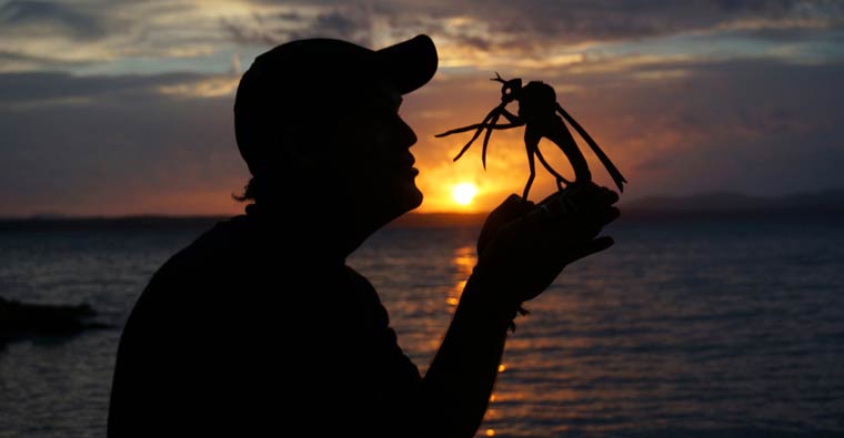 Картонные истории, Когда картон оживает,Джон Маршал,John Marshall, вырезает сценки из картона, силуэты закат картон