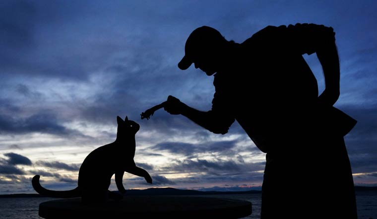 Картонные истории, Когда картон оживает,Джон Маршал,John Marshall, вырезает сценки из картона, силуэты закат картон