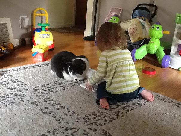 Гордость родителей, добрые дети, дети вселяющие веру в человечество