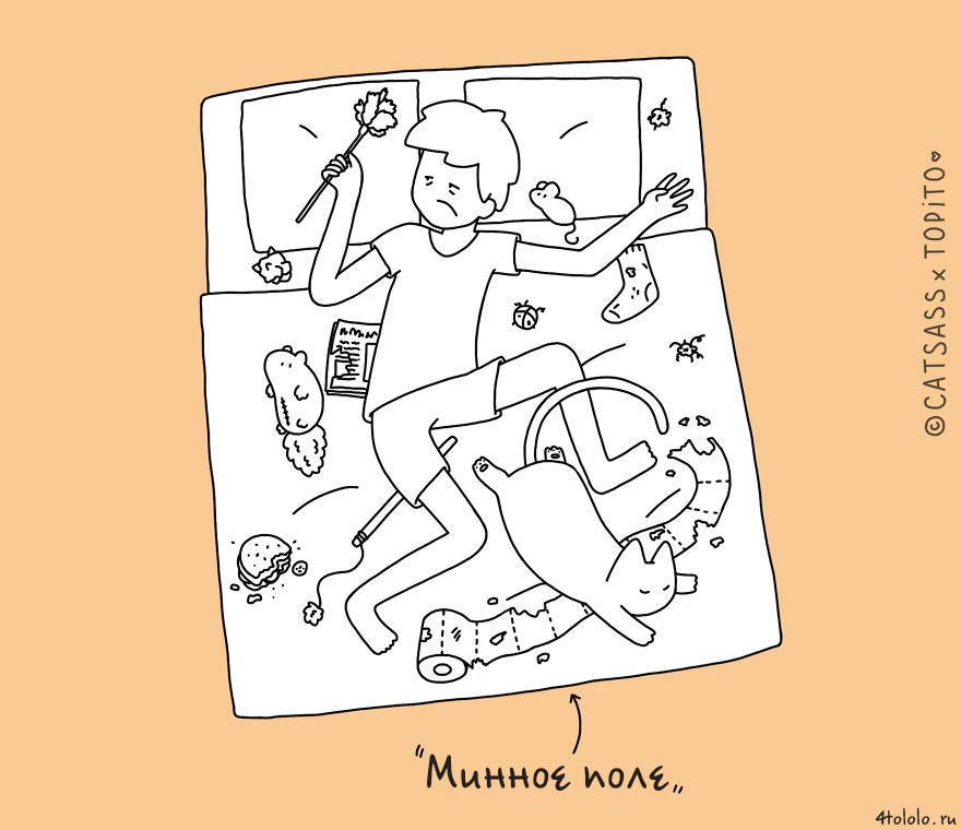 кошачьи позы сна, позы сна котов, 10 кошачьих поз сна