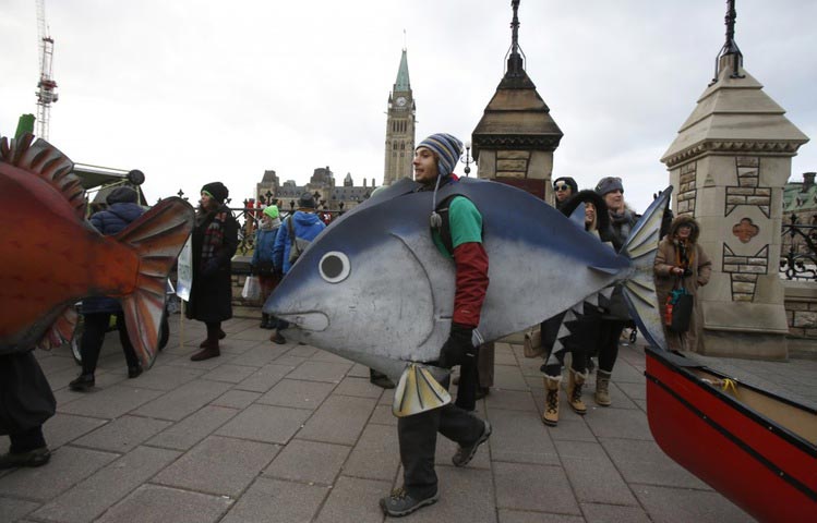 мощные фотографии, самые мощные фотографии недели, обо всём на свете