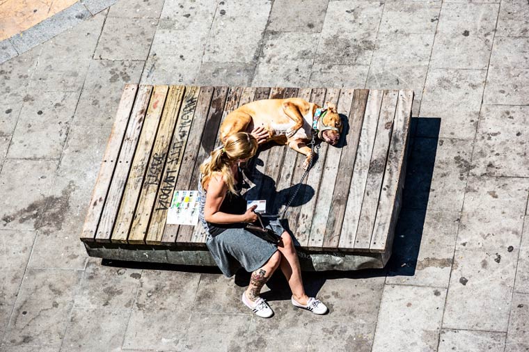 жизнь скамейки, Габор Эрднли, Gabor Erdely, снимал скамейку в течение года,  скамейка в Барселоне