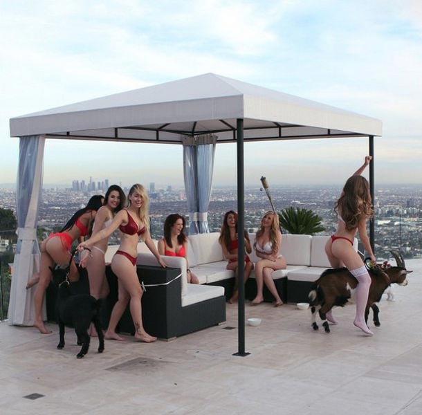 Тони Тутуни,Tony Toutouni, иранский миллиардер, жизнь иранского миллиардера