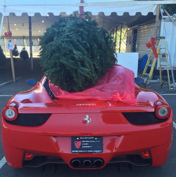 Тони Тутуни,Tony Toutouni, иранский миллиардер, жизнь иранского миллиардера