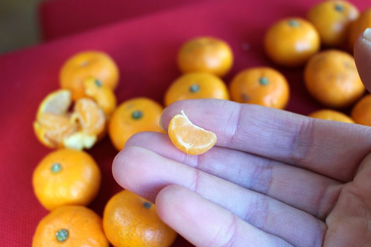 как похудеть к лету, полезные продукты, правильное питание