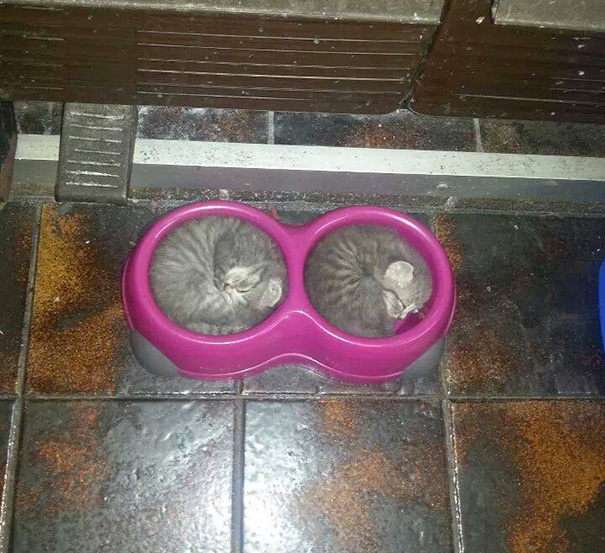 Визуальное совершенство, идеальные вещи, рай для перфекциониста 