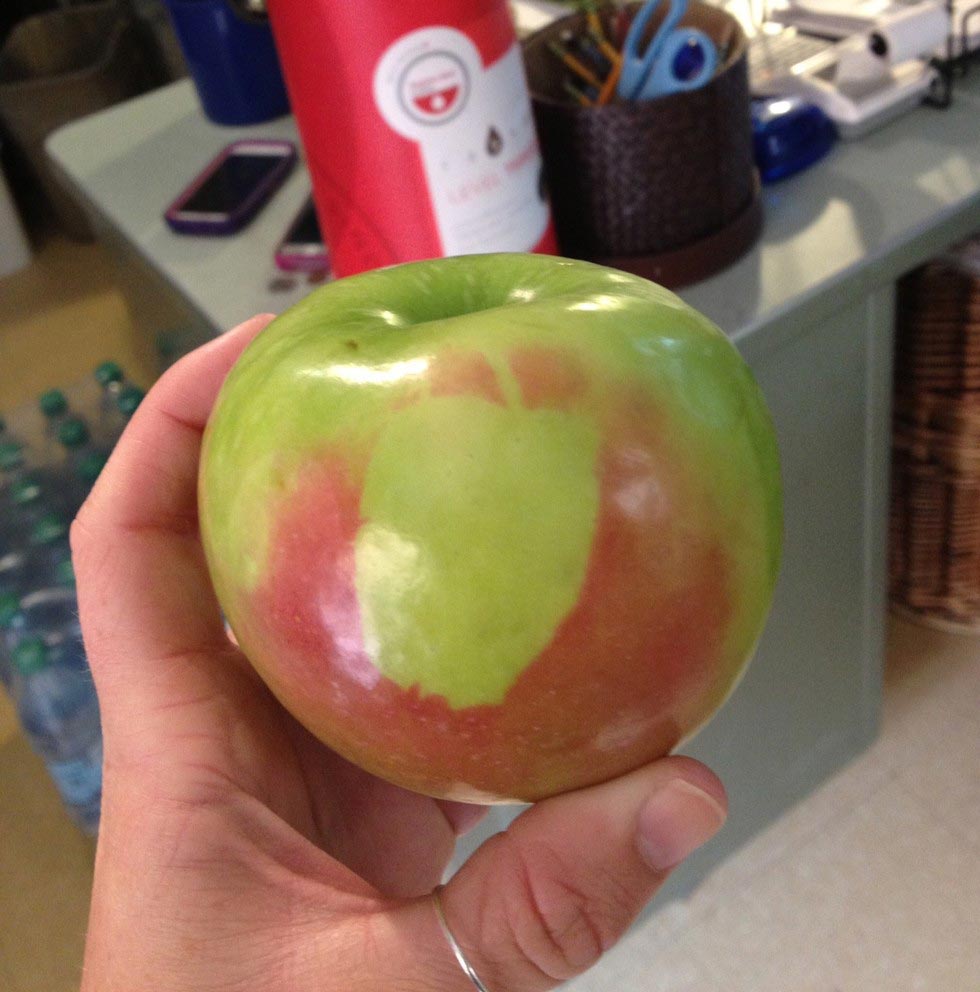 жизнь в жизни, предметы заключенные в себя, вещи заключенные в себя, начало заключенные сами в себя