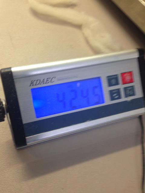 овцу не стригли 5 лет, Пуленепробиваемая овца, овца шерсть не стригли 5 лет