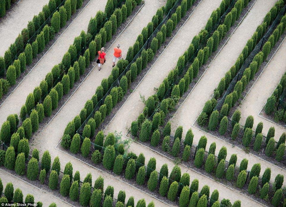 красивые лабиринты, лабиринты из природных материалов, лабиринты фото, лабиринты со всего мира