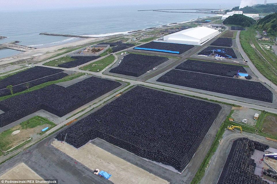 зона отчуждения АЭС Фукусима, АЭС Фукусима спустя 4 года, АЭС Фукусима сейчас, как сейчас выглядит Фукусима