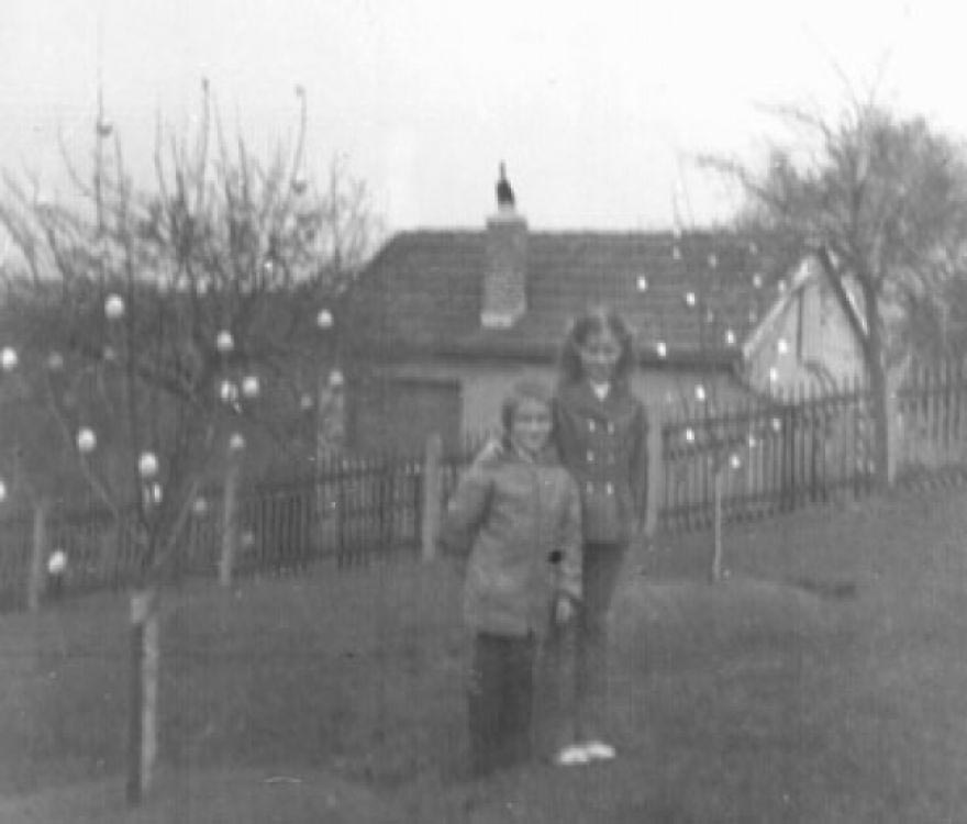 Пасхальное дерево, 2 недели и 10000 крашеных яиц на украшение дерева, Christa and Volker Kraft 